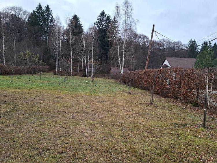 Teren deosebit pozitionat, cu livada, langa padure,  pe Valea Avrigului