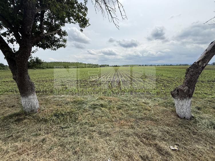 Teren extravilan de vânzare | Satu Mare, județul Suceava | 3.750 mp - 2