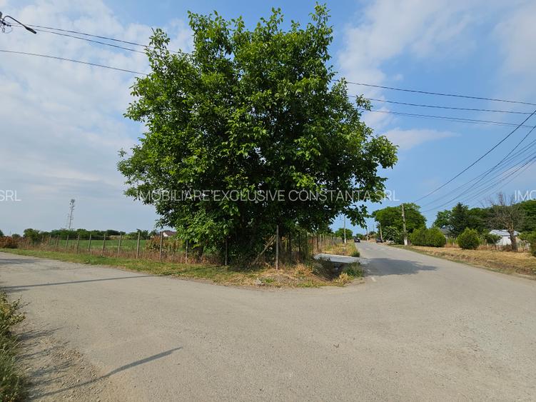 Teren 5.465 mp intravilan și front stradal – Topraisar, Constanța Comision Zero - 4