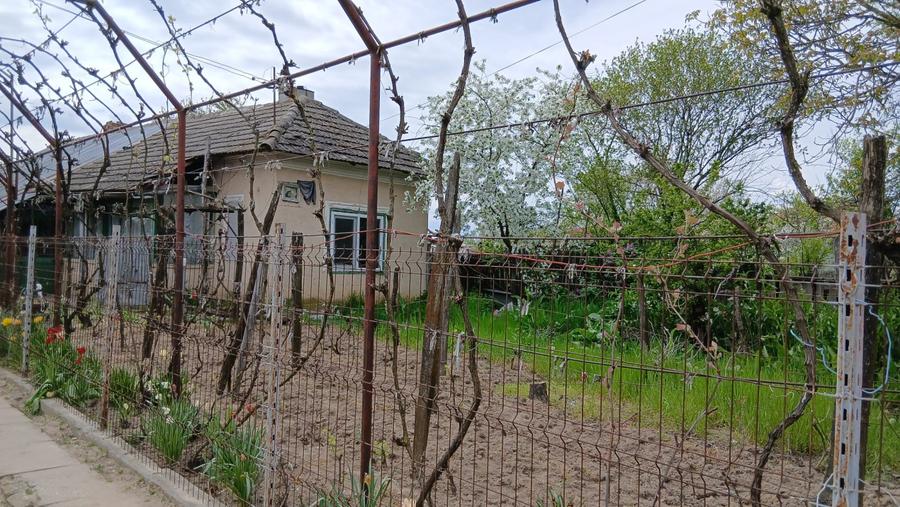 Casa de vanzare CELARU-APELE VII Dolj teren 8481 mp
