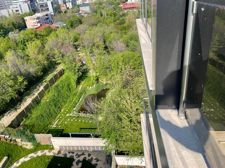 Soseaua Nordului | Herastrau | Spatiu de Birou | Vedere Parc