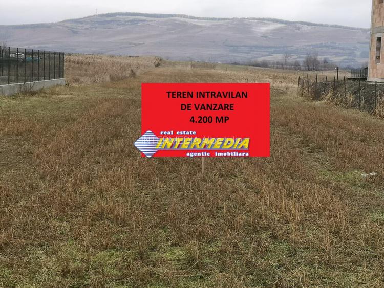 Teren intravilan 4200 mp de vanzare Alba Micesti cu utiliati langa - 2