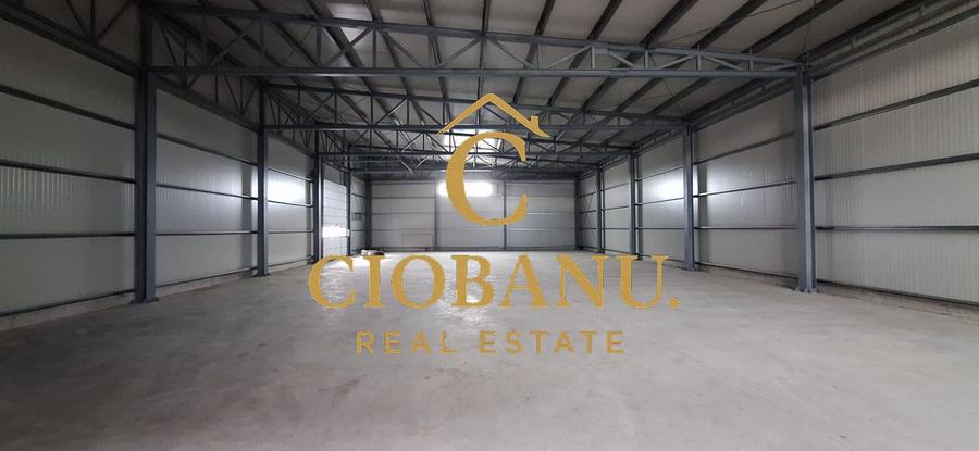 Hale industriale+Cladire de Birouri de inchiriat zona Aeroport