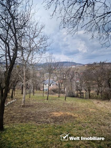 Casa la tara, la 30 min de Cluj – renovata, livada pe rod si teren 1000 mp