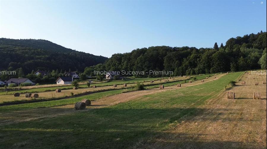 Teren 5886 mp In Bucovina - Bucsoaia! De Vanzare! 0727817187 - 5