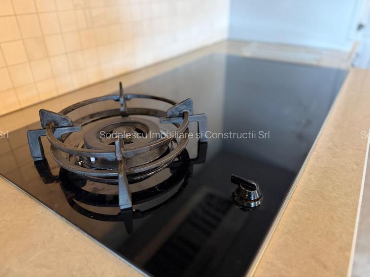 Reședință exclusivistă cu piscină și SPA | Dumbrăvița - 30