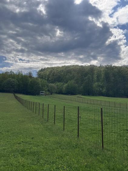 Teren intravilan, 2500mp, Voievodeasa, Marginea