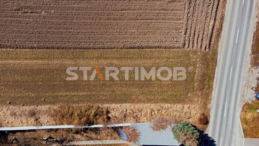 Teren intravilan cu PUZ str Albinelor Stupini