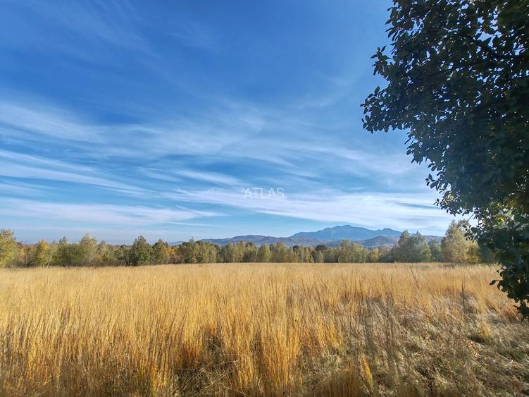 5.800 mp extravilan, Sohodol-Bran, retreat, cabane, off-grid ecoturism, panorama - 10