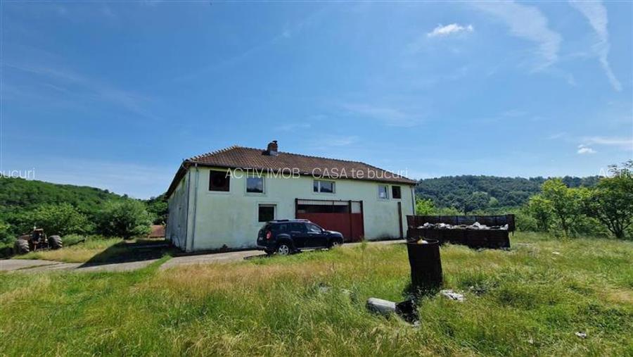 Farliug Casa sau Afacere 125 000 euro.Comision ZERO Cumparator - 7