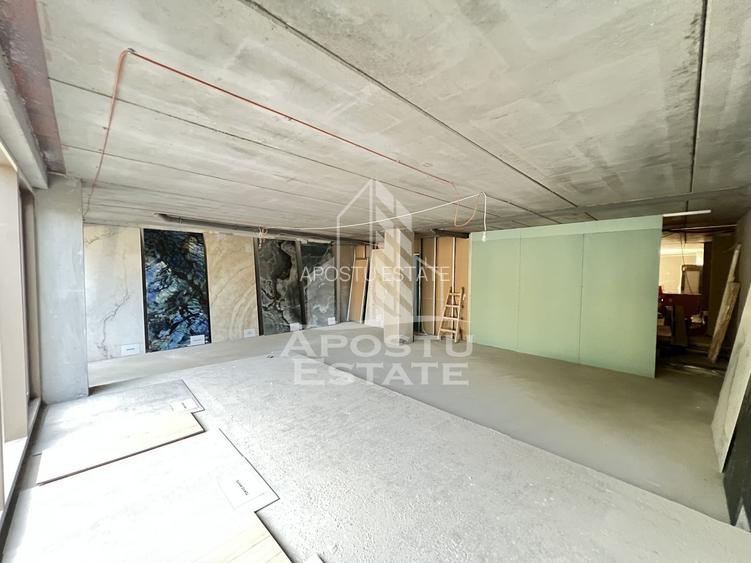 Spațiu comercial de vanzare 240 mp Central Timisoara - 2
