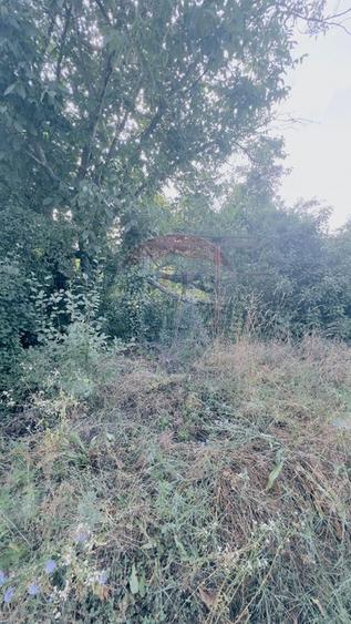 1170mp intravilan, imprejmuit, Leamna de Jos, utilitati