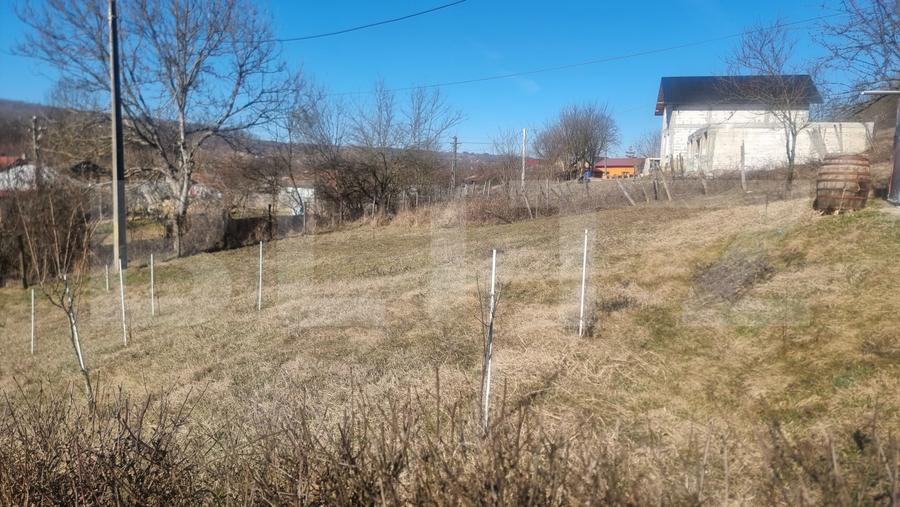 Casa renovata plus teren 2000 mp ,VARBILA