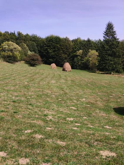 Teren intravilan situat in Traiteni,Valea Doftanei