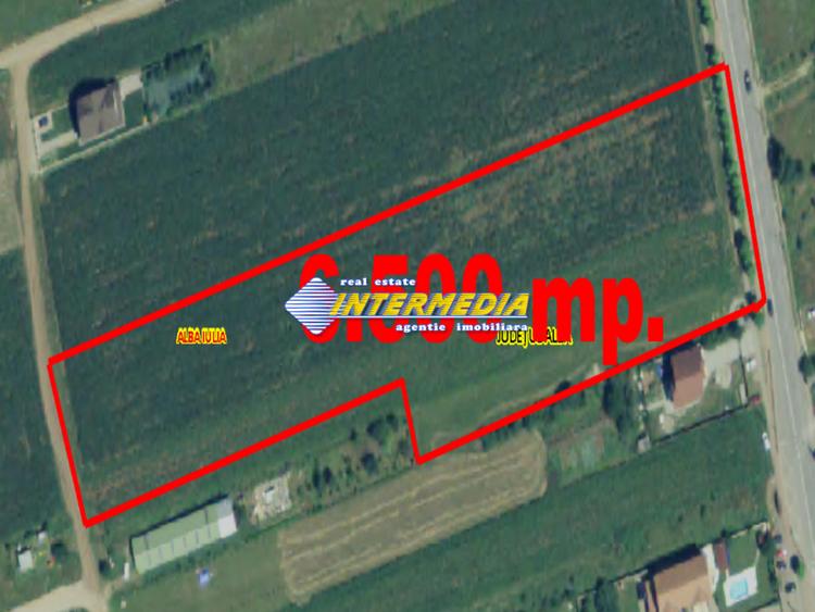 Teren intravilan 6500 mp, deschidere 30 m, PUZ P+2+1+(1), toate utilitățile