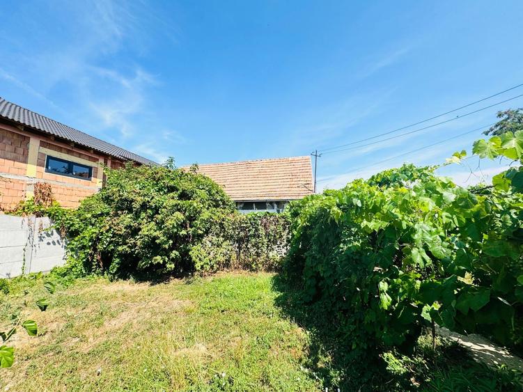 Casa cu 2 camere in Sacuieni