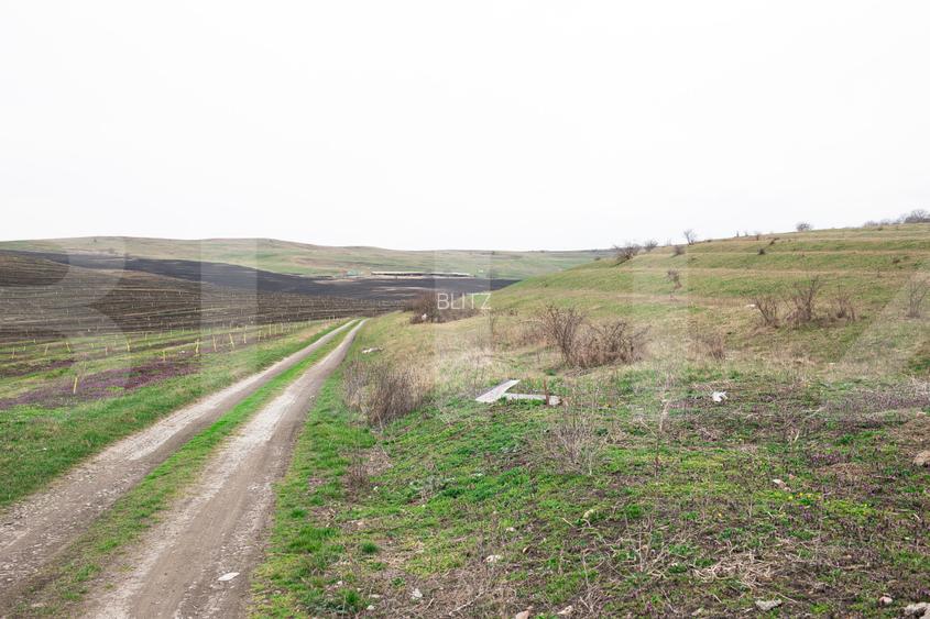 Teren 5800 mp în Câmpenești – cadru natural deosebit, ideal pentru investiție - 6