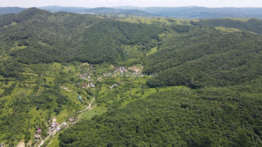 Teren spectaculos cu padure, livada si priveliste panoramica in Soimari PH