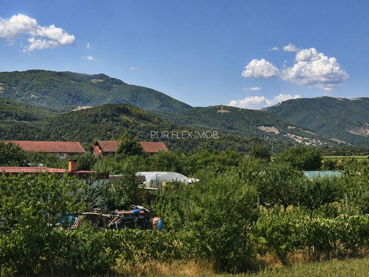 Casa single cu 3 dormitoare, Talmaciu - 2