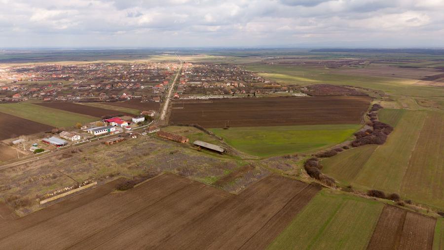 Fermă cu teren intravilan de 35000 mp în Mișca