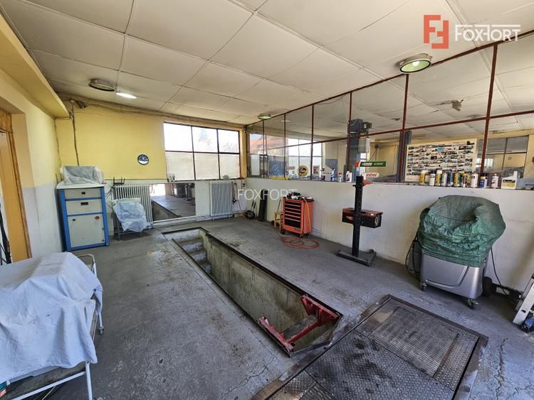 Oportunitate afacere: Spatiu industrial + Casa de locuit - Bogdanestilor - 22
