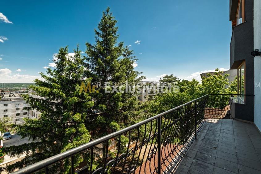 Proprietate premium vis-a-vis de noul Stadion Nicolae Dobrin - 25