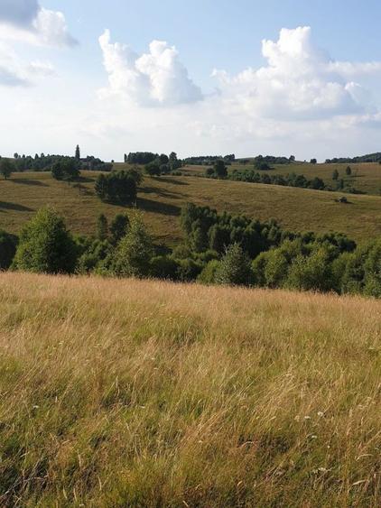 De vanzare teren in zona Crint -Tilisca in golul alpin, direct de la proprietar!