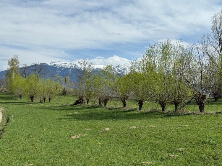 Teren intravilan 500 mp in zona Bran Tohanita, Judetul Brasov