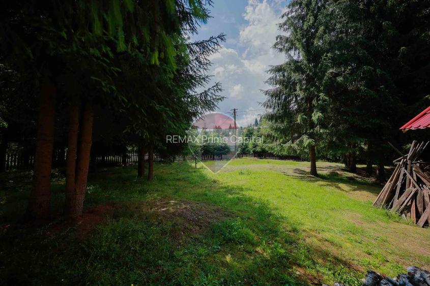 De vânzare cabană și teren 3326mp, Arieșeni-Oportunitate de investiție - 18