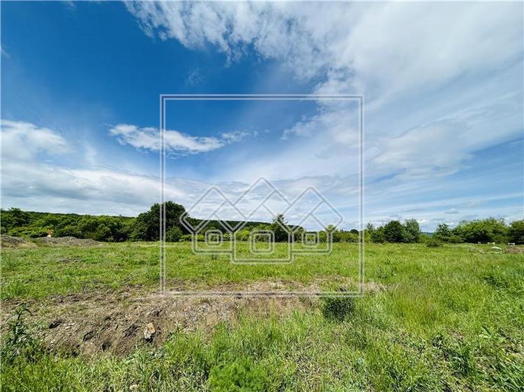 Teren intravilan, 750 mp, cu autorizatie de constructie, Selimbar