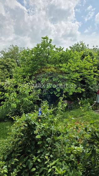 Domeniu rural, gospodarie/multifunctionala cu casa, livada, vie - 45