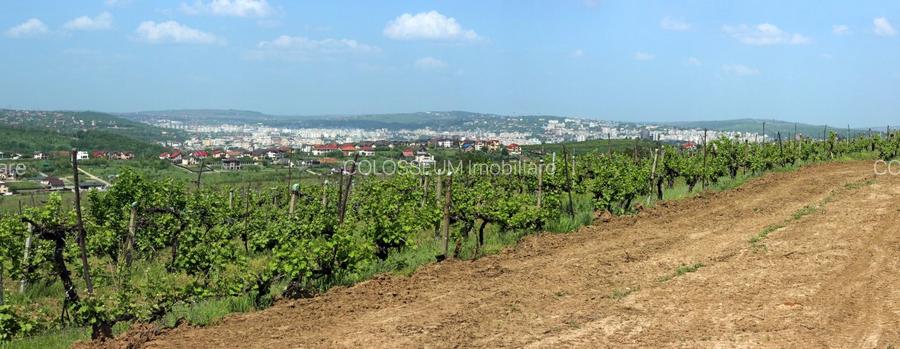Teren de vanzare,  la 1,3km de LIDL Bucium, vecinatate cartier Panoramic - 8