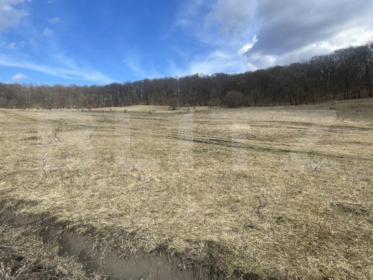 Teren extravilan de vanzare, 2,4 hectare, zona drumul Tarpiului