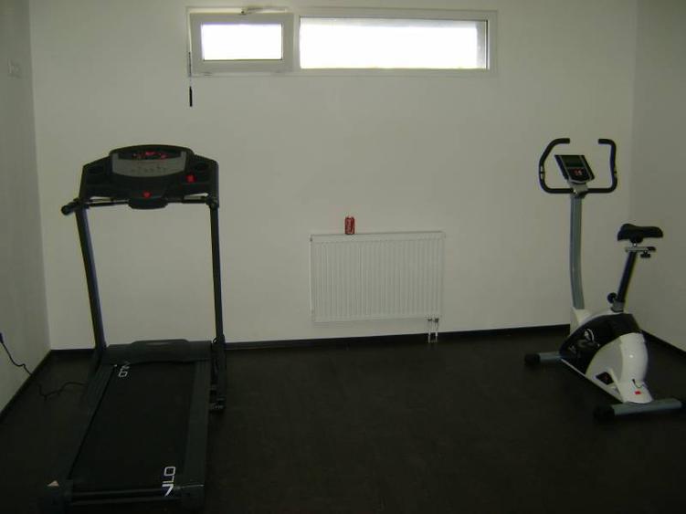 Apartament o camera la vila LUX 370 euro