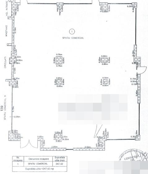 Spatiu comercial Manastur