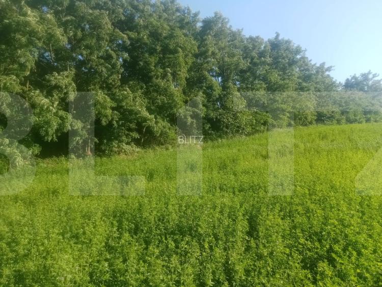 Teren intravilan de vanzare, 3700 mp, zona Braesti - 3