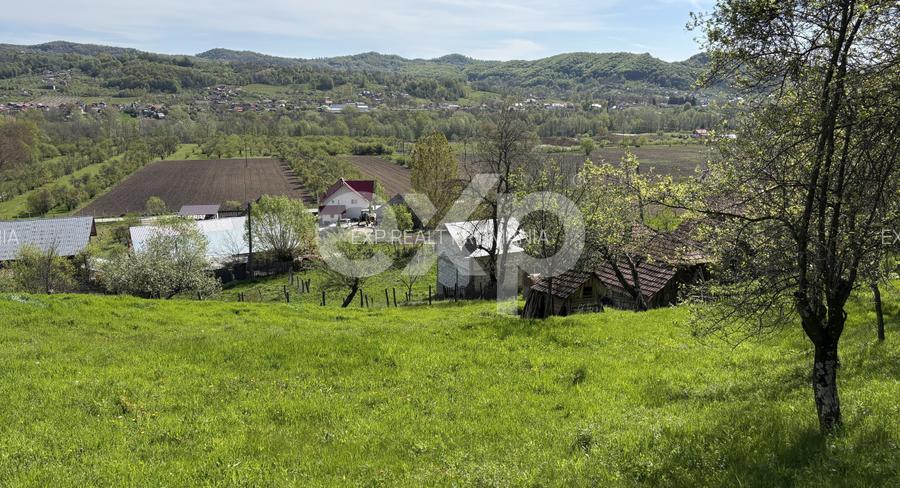 Casă la roșu + 2 case tradiționale | 14.613 mp teren | Aproape de A1 Tigveni - 3