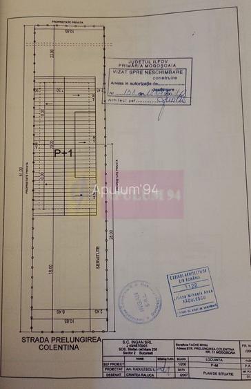 Duplex în vilă, 4 camere, renovat 2025, curte 250 mp, Mogoșoaia - 5