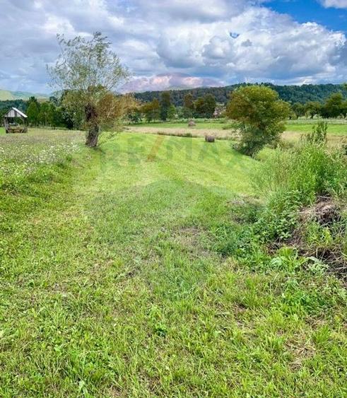 Teren 1,884mp Berbesti / Drumul secundar