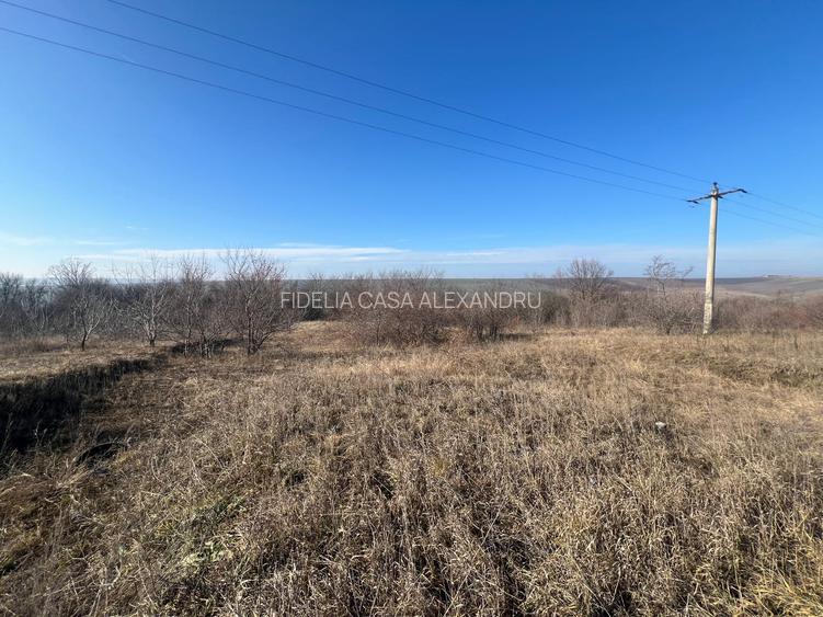 Teren pentru constructii case de vanzare Iasi Popricani - 2