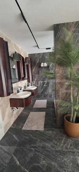 Penthouse de vanzare, 307.60 mp, zona Frumoasa - 17