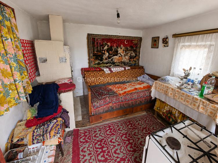 Teren de vanzare + casa in Gorghesti, Bacau – 7.391 mp, zona linistita de deal - 9