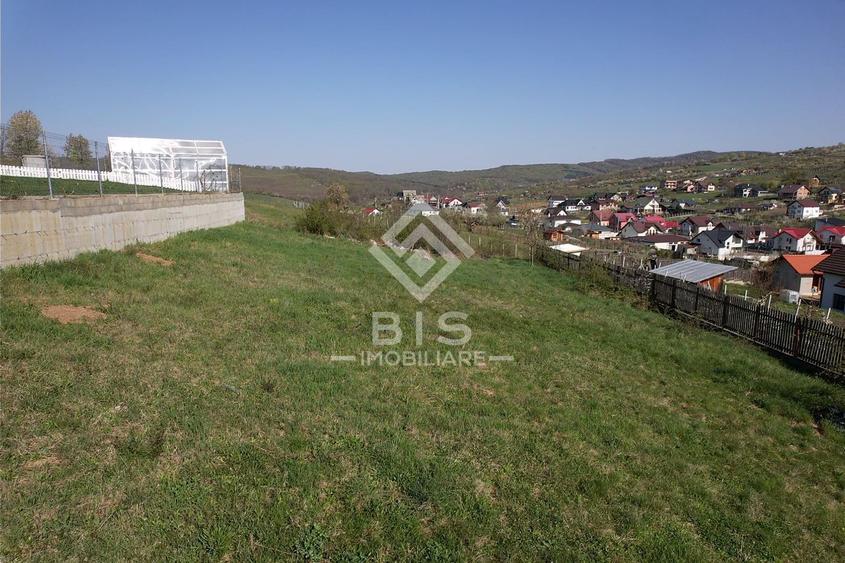 Teren de vanzare 10 ari - zona LEONI