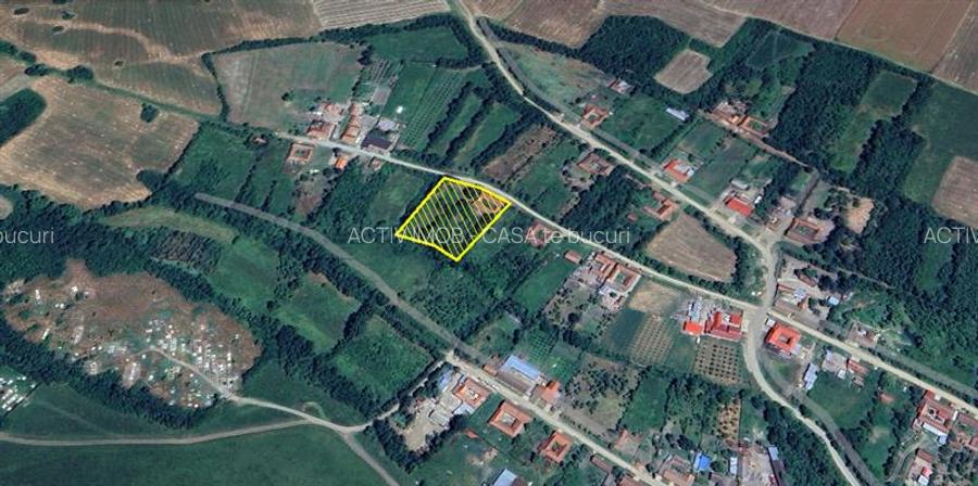 Rachitova, Casa 8 Incaperi, 3800mp Teren, Usor Negociabil - 29