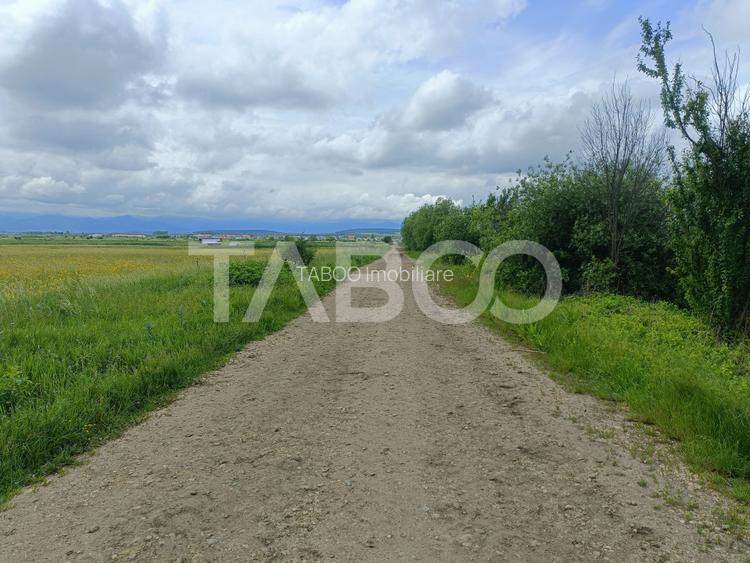 Teren de vanzare in zona Parcului Industrial Sura Mica cu acces camion - 2