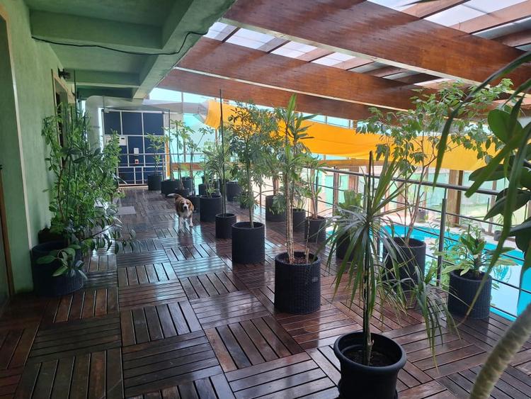 Vila exclusivista Eforie Sud (06) cu vedere frontala la mare