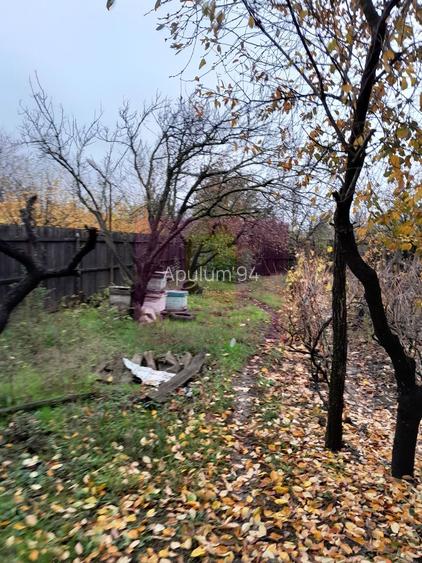 ILFOV - SE VINDE CASA IN ISLAZ / COM. BRANESTI - 50