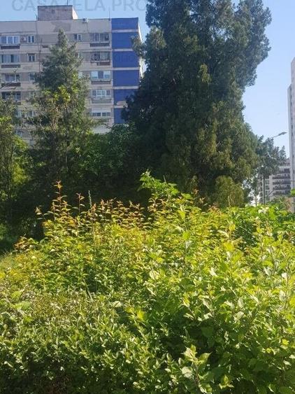Teren in suprafata de 719 mp Str. Take Ionescu