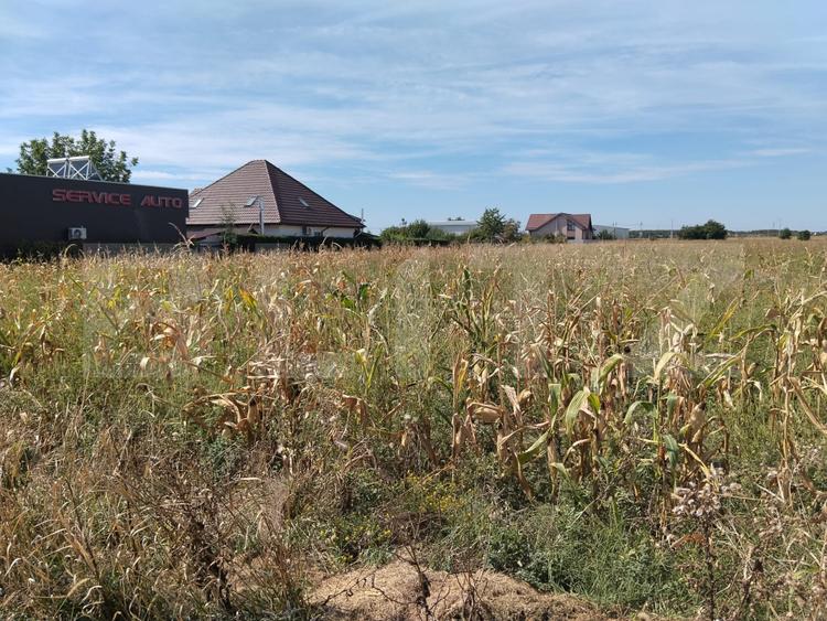 Teren intravilan de 5.400 mp | Matraca, județul Dâmbovița