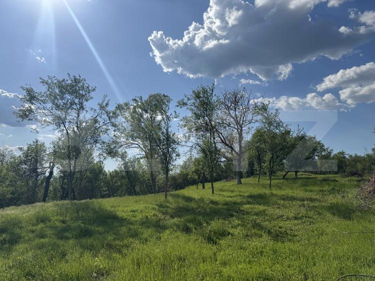 Teren intravilan de vanzare, 15080 mp, zona Tătărăști - 2